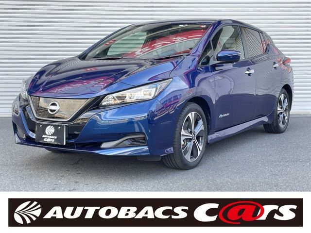 Nissan LEAF 2022-01 18782-0
