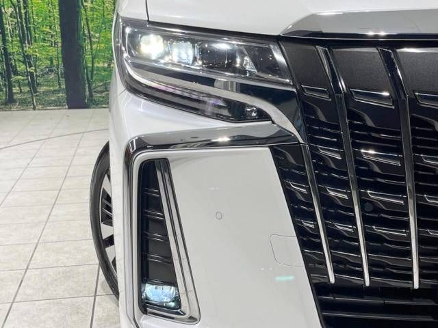 Toyota ALPHARD 2019-09 180884-13