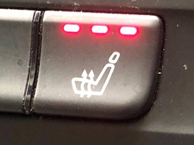 Amg A-Class 2015-01 192794-7