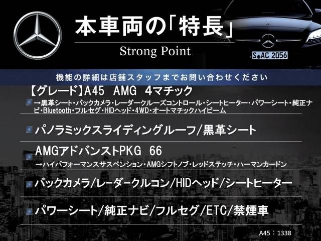 Amg A-Class 2015-01 192794-2