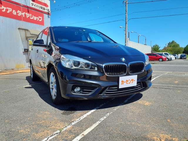 Bmw 2 SERIES 2016-07 18879-1