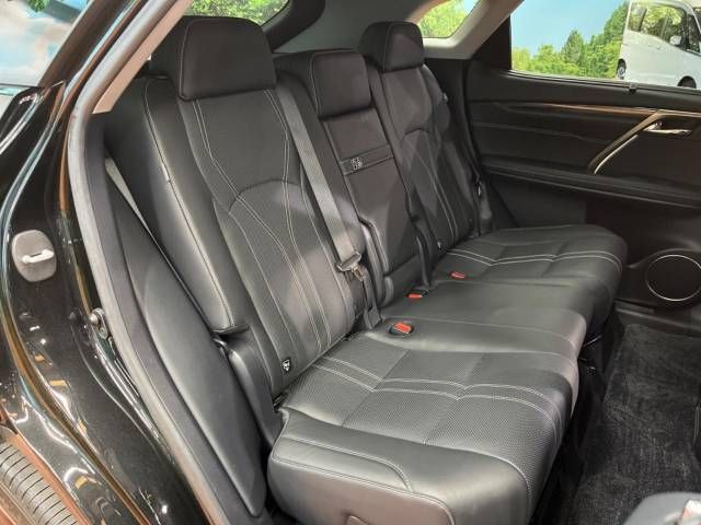 Lexus RX 2015-12 13544-11