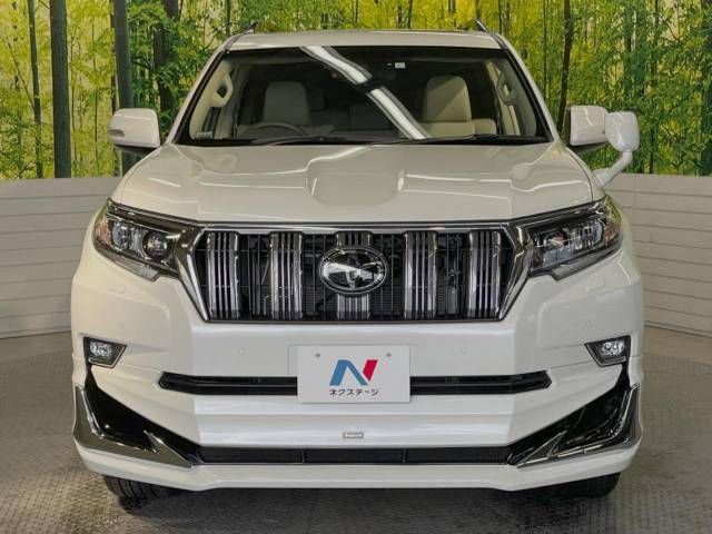 Toyota PRADO 2023-01 184242-14