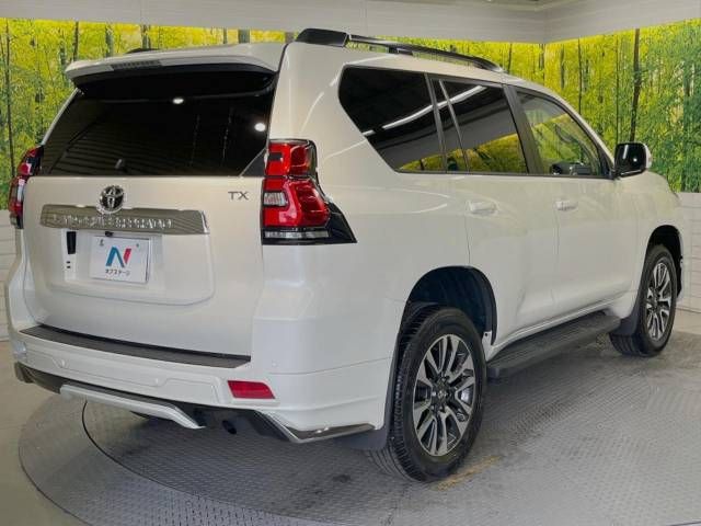 Toyota PRADO 2023-01 184242-17