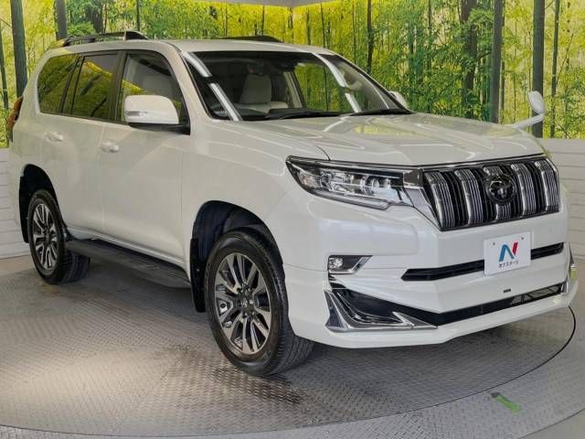 Toyota PRADO 2023-01 184242-16