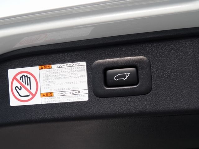 Toyota ALPHARD HYBRID 2021-12 23176-18