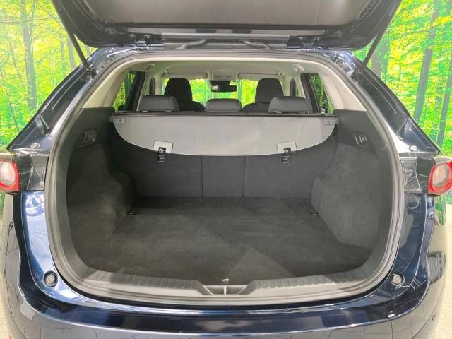 Mazda CX-5 2017-03 21656-10