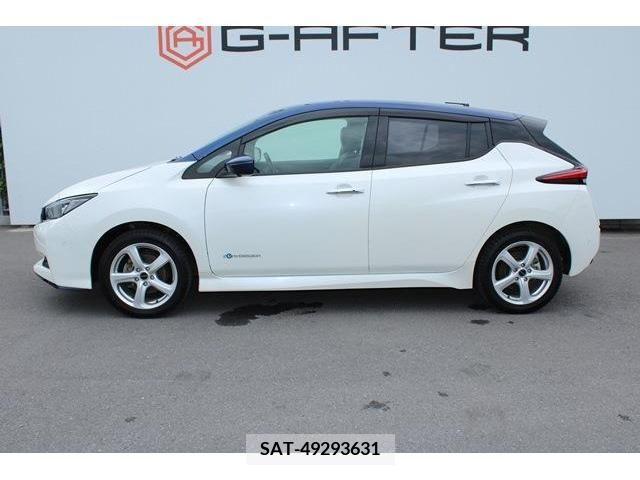 Nissan LEAF 2019-03 324796-8