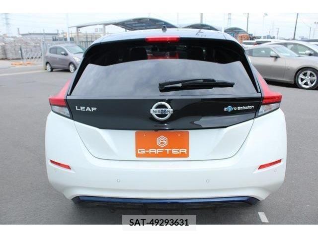 Nissan LEAF 2019-03 324796-7