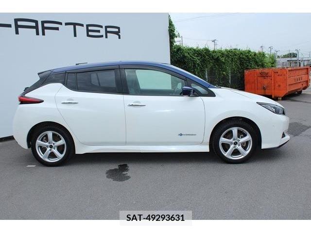 Nissan LEAF 2019-03 324796-6
