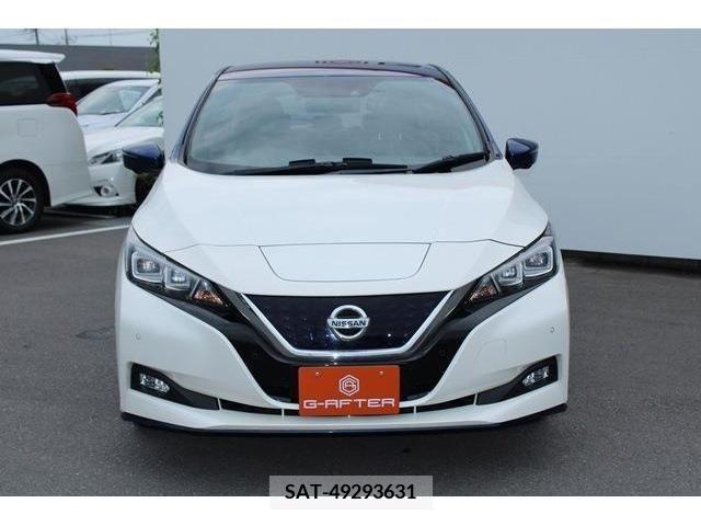 Nissan LEAF 2019-03 324796-5