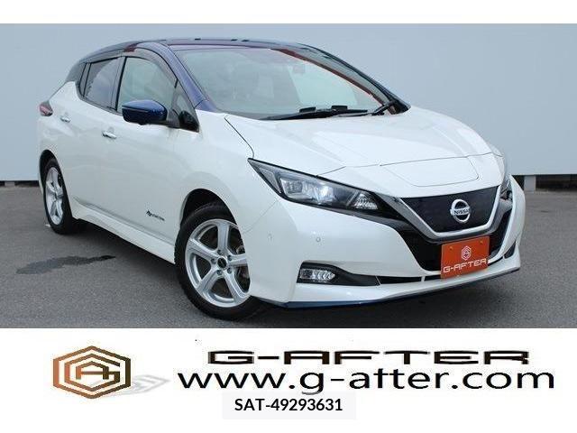 Nissan LEAF 2019-03 324796-0