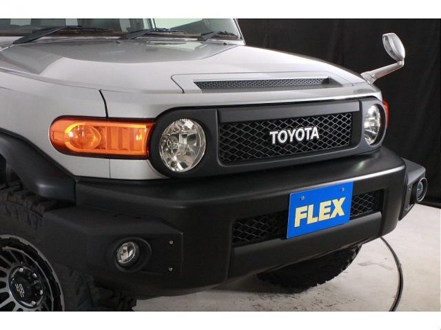 Toyota FJ CRUISER 2011-01 13805-15