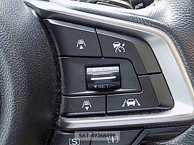 Subaru SUBARU 2017-11 287308-19