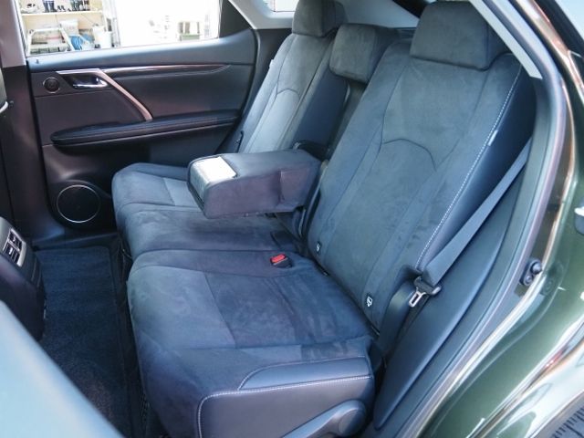 Lexus RX 2020-01 190784-12