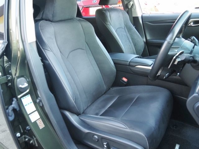 Lexus RX 2020-01 190784-9