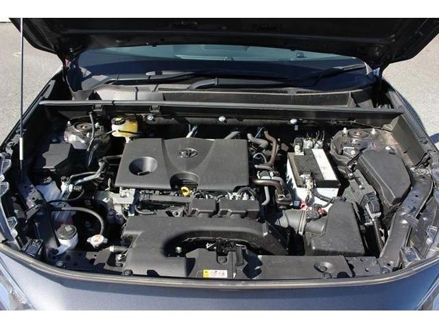 Toyota RAV4 2019-06 25267-16