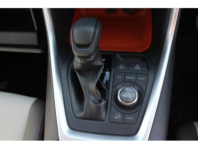 Toyota RAV4 2019-06 25267-15