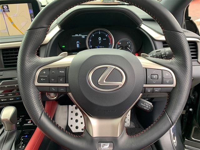 Lexus RX 2022-03 196316-16