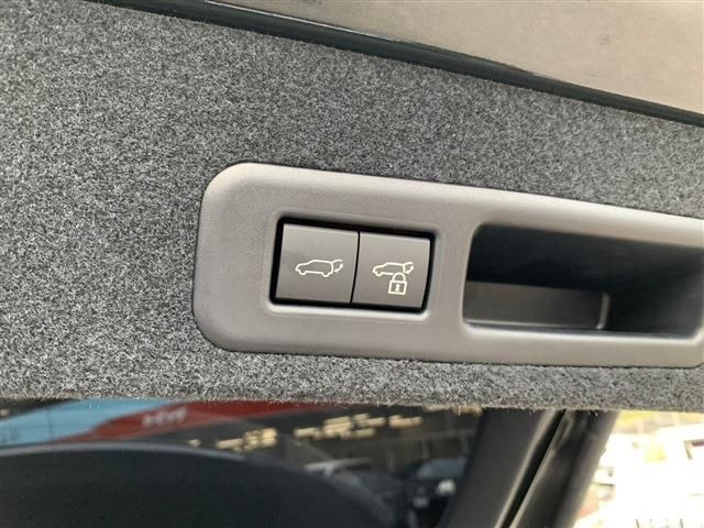 Lexus RX 2022-03 196316-29