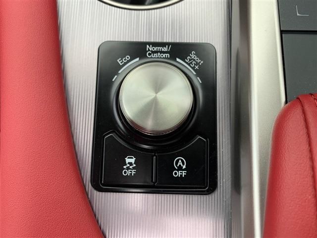 Lexus RX 2022-03 196316-25