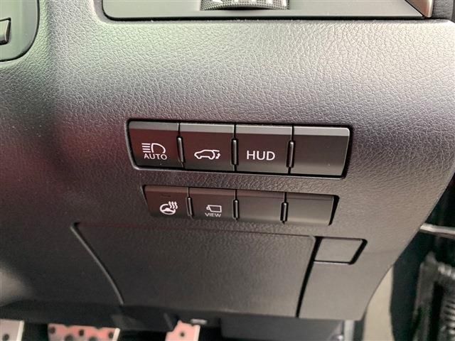 Lexus RX 2022-03 196316-15