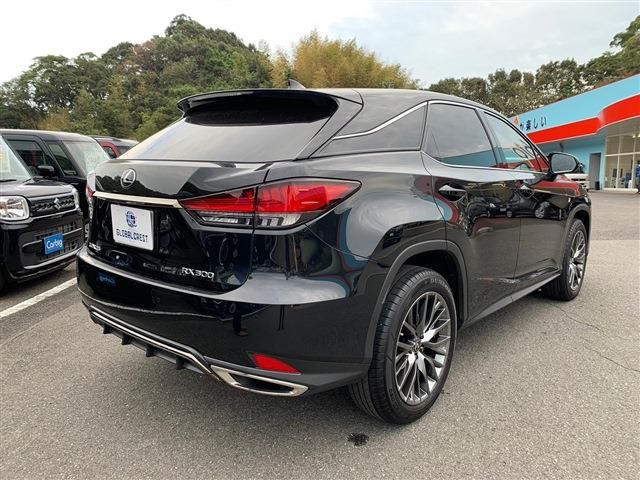 Lexus RX 2022-03 196316-8