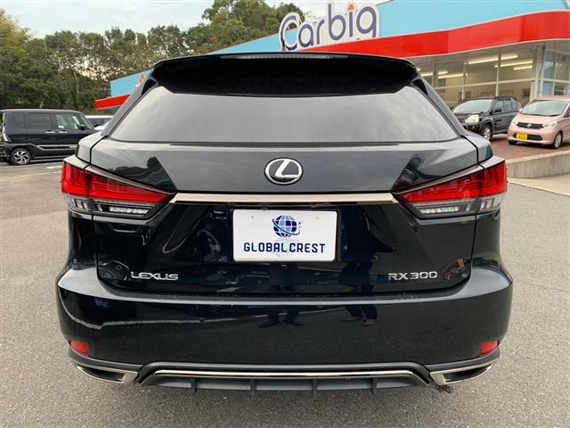 Lexus RX 2022-03 196316-7