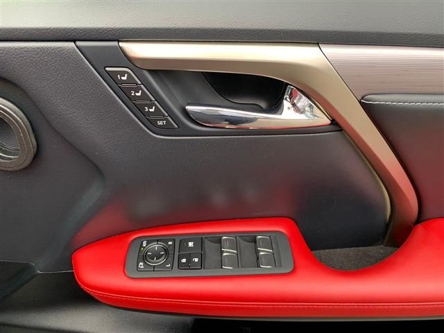 Lexus RX 2022-03 196316-14