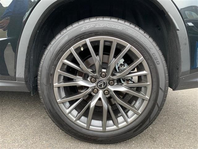 Lexus RX 2022-03 196316-11