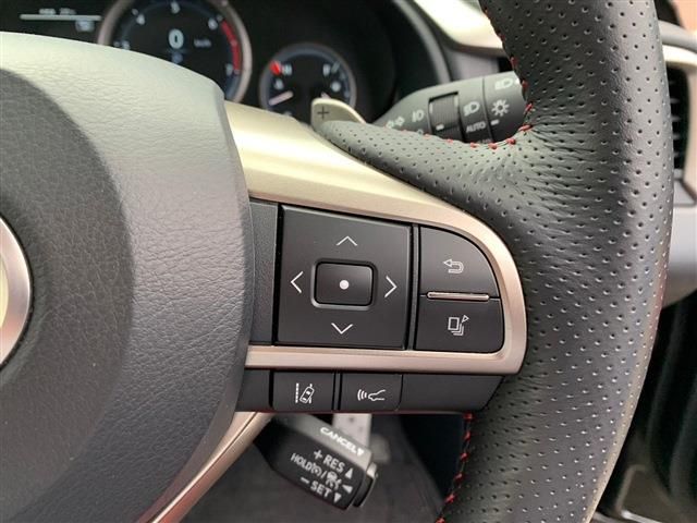 Lexus RX 2022-03 196316-17
