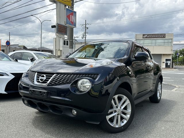 Nissan JUKE 2011-02 185462-1