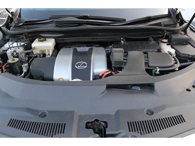 Lexus RX 2016-02 8072-18