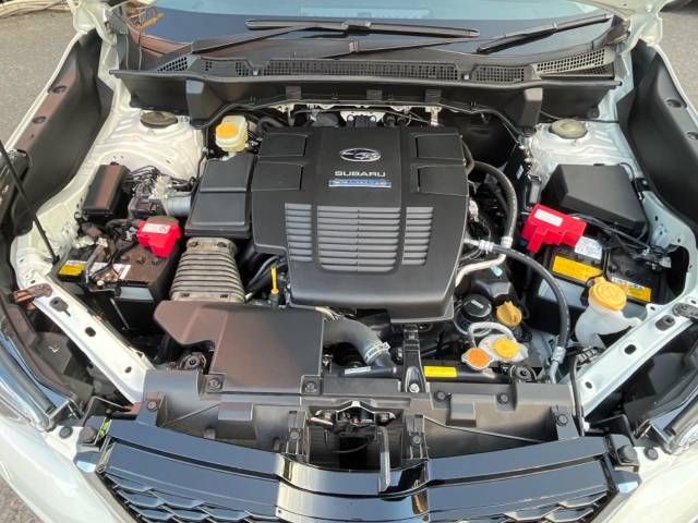 Subaru FORESTER 2020-01 183591-19