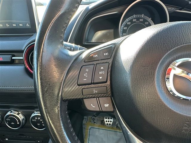Mazda CX-3 2016-02 3114-18