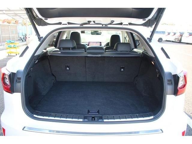 Lexus RX 2016-01 15071-17