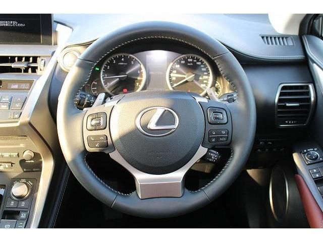 Lexus NX 2014-08 7994-15