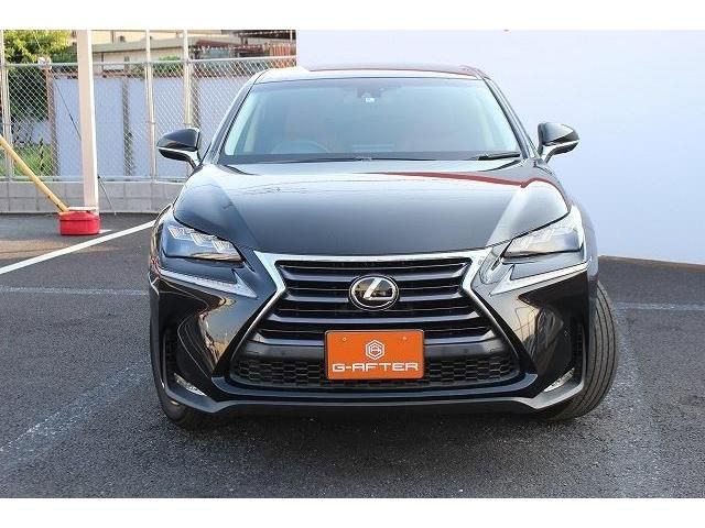 Lexus NX 2014-08 7994-6