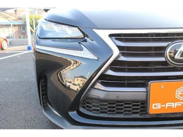 Lexus NX 2014-08 7994-10