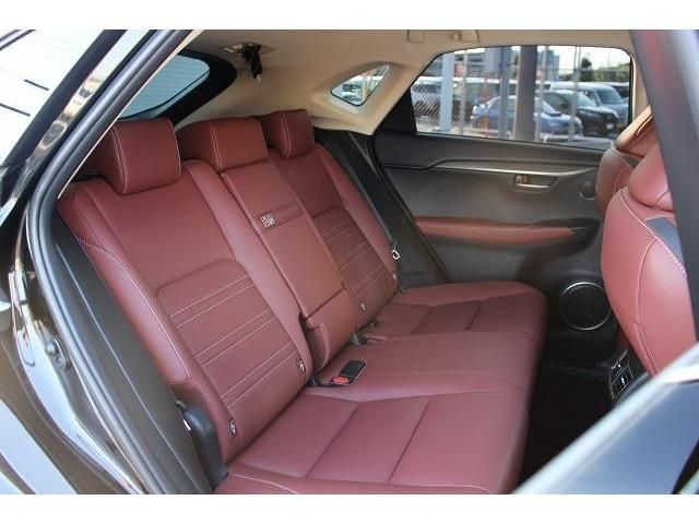 Lexus NX 2014-08 7994-14