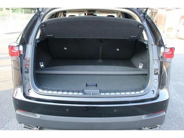 Lexus NX 2014-08 7994-17