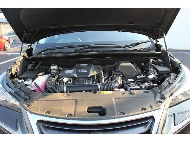 Lexus NX 2014-08 7994-18