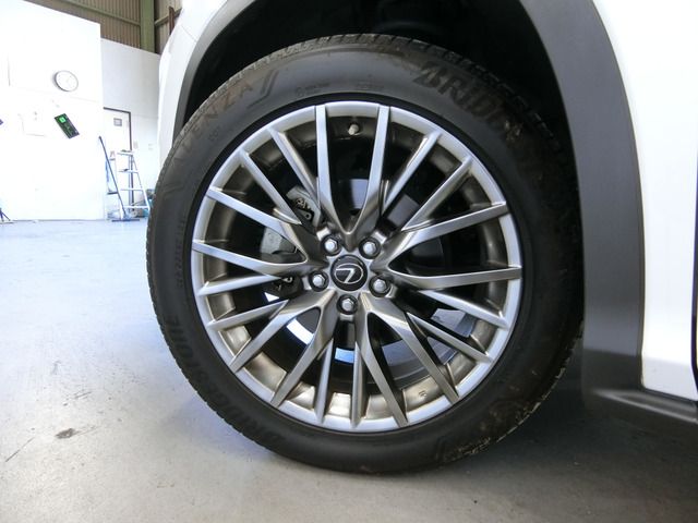 Lexus RX 2015-11 6770-15