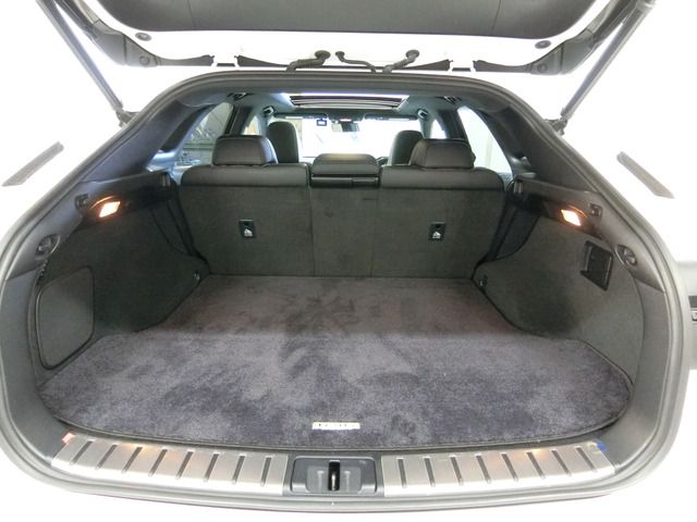 Lexus RX 2015-11 6770-7