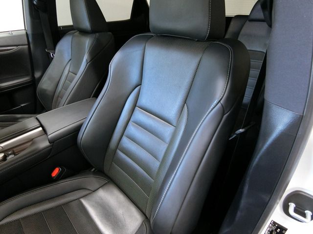 Lexus RX 2015-11 6770-5