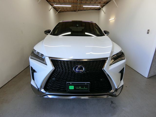 Lexus RX 2015-11 6770-1