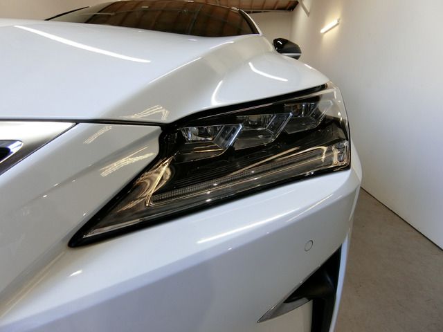 Lexus RX 2015-11 6770-17