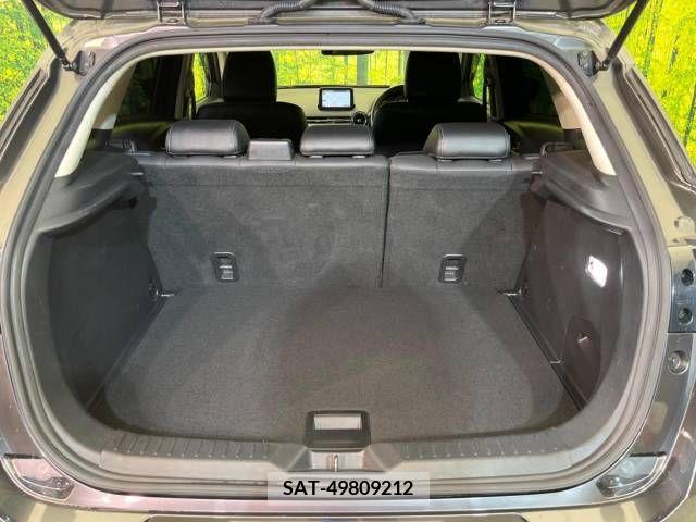 Mazda CX-3 2018-05 302059-10