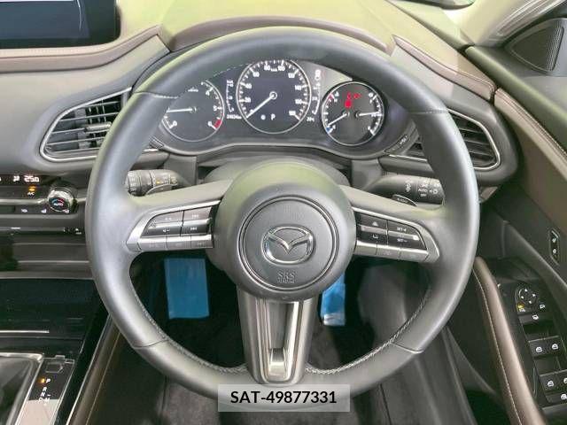 Mazda CX-30 2019-11 331971-11
