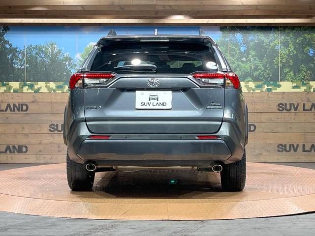 Toyota RAV4 2021-03 196662-14